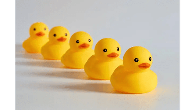 A line of yellow rubber duck toys in a row on a white surface.